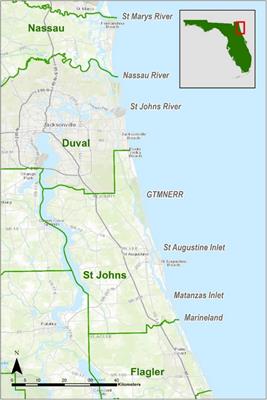 Population and Nesting Site Evidence for Diamondback Terrapins, Malaclemys terrapin, in Northeast Florida